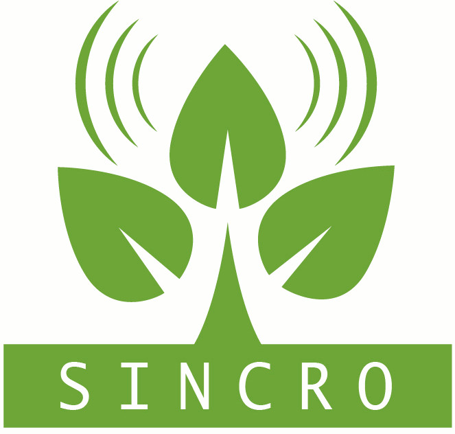 Sincro - Power & Engineering Solutions